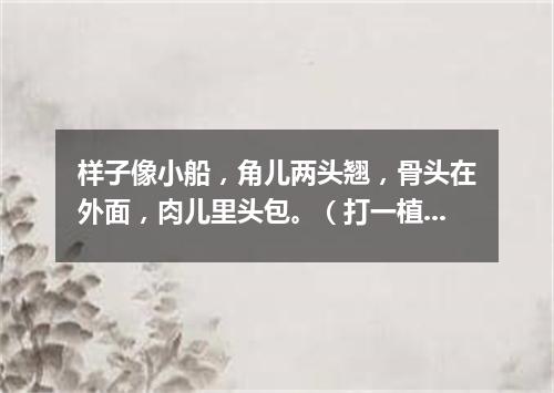 样子像小船，角儿两头翘，骨头在外面，肉儿里头包。（打一植物）