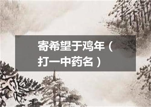 寄希望于鸡年（打一中药名）