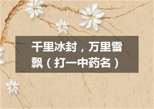 千里冰封，万里雪飘（打一中药名）