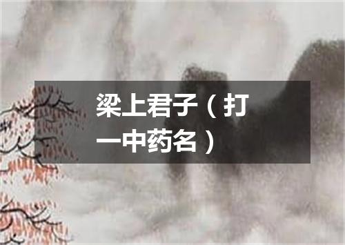 梁上君子（打一中药名）