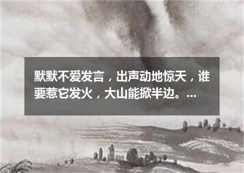 默默不爱发言，出声动地惊天，谁要惹它发火，大山能掀半边。（打一军事物品）
