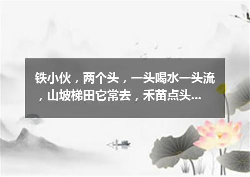 铁小伙，两个头，一头喝水一头流，山坡梯田它常去，禾苗点头乐悠悠。（打一农机用具）