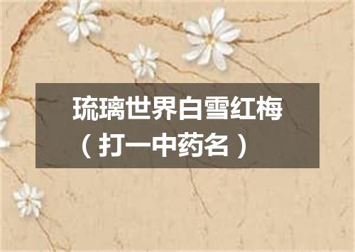 琉璃世界白雪红梅（打一中药名）