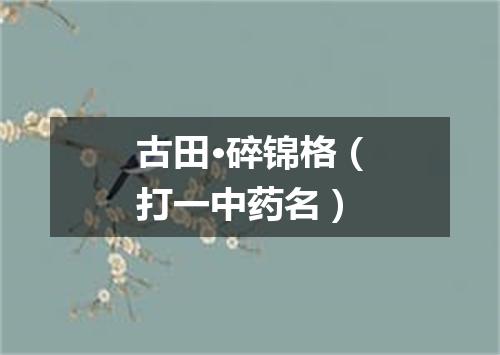 古田·碎锦格（打一中药名）