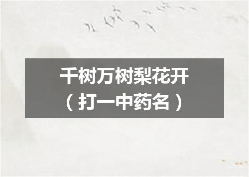 千树万树梨花开（打一中药名）