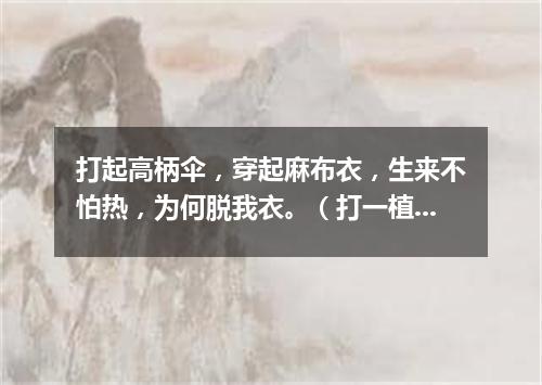 打起高柄伞，穿起麻布衣，生来不怕热，为何脱我衣。（打一植物）