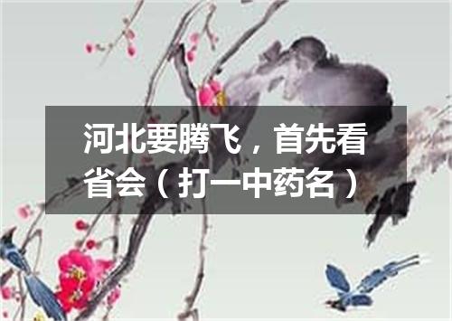 河北要腾飞，首先看省会（打一中药名）