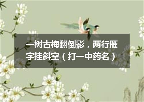 一树古梅翻倒影，两行雁字挂斜空（打一中药名）