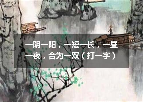 一阴一阳，一短一长，一昼一夜，合为一双（打一字）