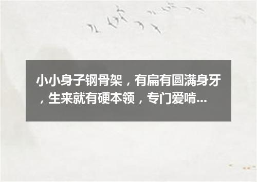 小小身子钢骨架，有扁有圆满身牙，生来就有硬本领，专门爱啃硬疙瘩。（打一常用物）