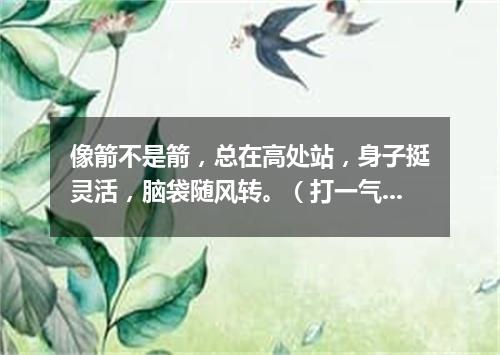 像箭不是箭，总在高处站，身子挺灵活，脑袋随风转。（打一气象用具）