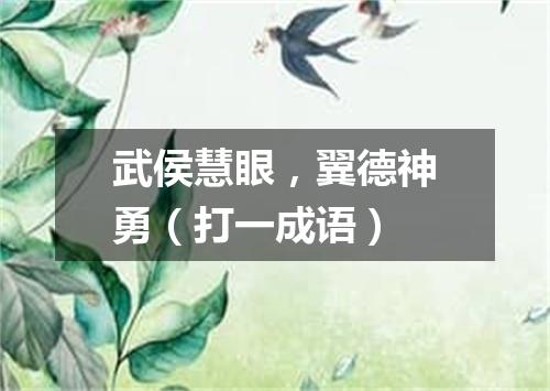 武侯慧眼，翼德神勇（打一成语）