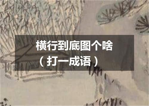 横行到底图个啥（打一成语）
