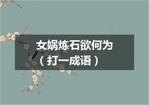 女娲炼石欲何为（打一成语）