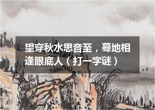望穿秋水思音至，蓦地相逢眼底人（打一字谜）
