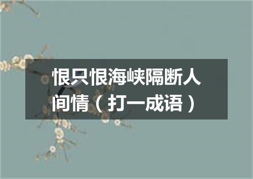 恨只恨海峡隔断人间情（打一成语）