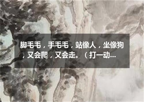 脚毛毛，手毛毛，站像人，坐像狗，又会爬，又会走。（打一动物）