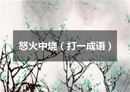 怒火中烧（打一成语）