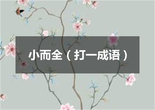 小而全（打一成语）