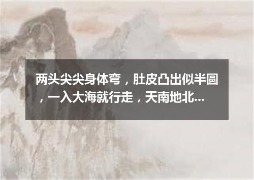 两头尖尖身体弯，肚皮凸出似半圆，一入大海就行走，天南地北游个遍。（打一交通工具）