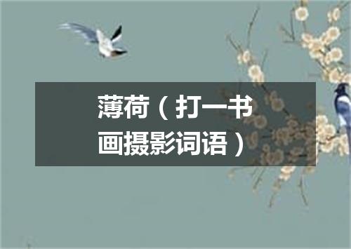 薄荷（打一书画摄影词语）