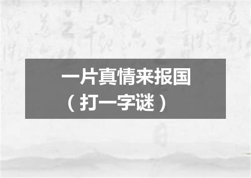 一片真情来报国（打一字谜）