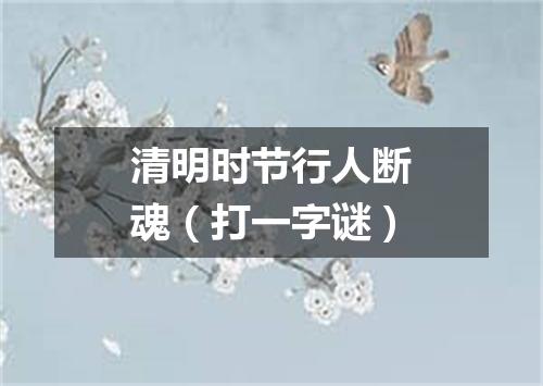 清明时节行人断魂（打一字谜）