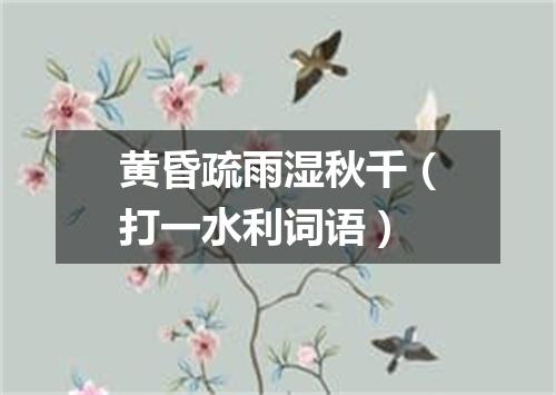 黄昏疏雨湿秋千（打一水利词语）