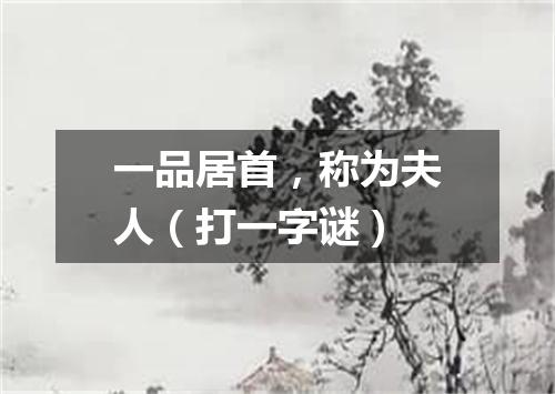 一品居首，称为夫人（打一字谜）
