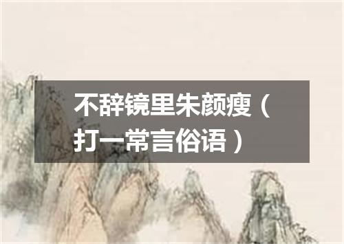 不辞镜里朱颜瘦（打一常言俗语）