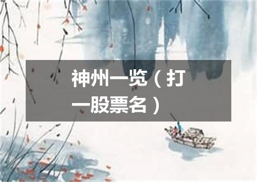 神州一览（打一股票名）