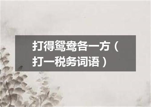 打得鸳鸯各一方（打一税务词语）