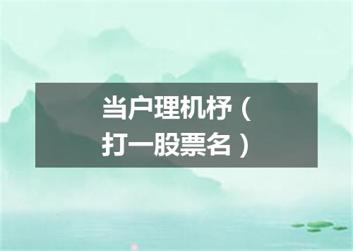 当户理机杼（打一股票名）