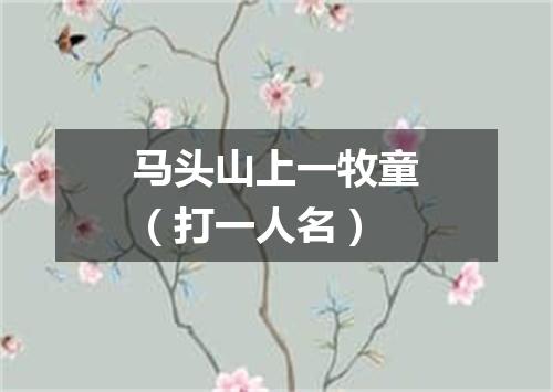 马头山上一牧童（打一人名）