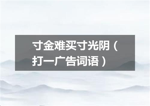 寸金难买寸光阴（打一广告词语）