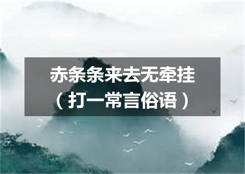 赤条条来去无牵挂（打一常言俗语）