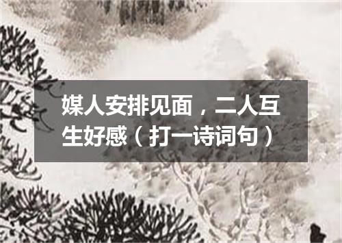 媒人安排见面，二人互生好感（打一诗词句）