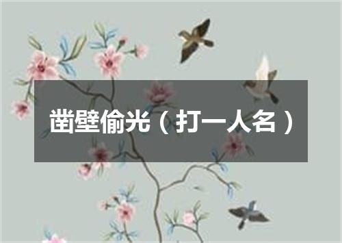 凿壁偷光（打一人名）