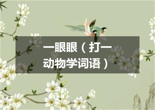 一眼眼（打一动物学词语）