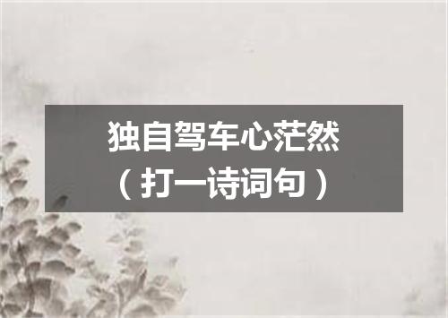 独自驾车心茫然（打一诗词句）
