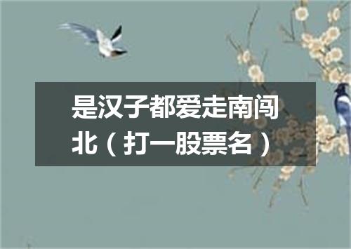 是汉子都爱走南闯北（打一股票名）