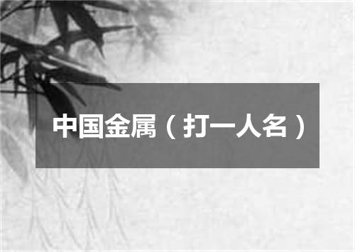 中国金属（打一人名）