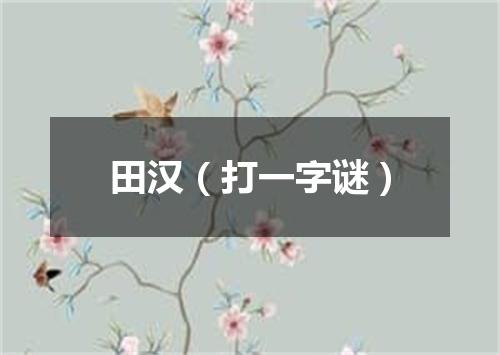 田汉（打一字谜）