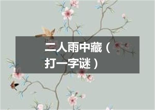 二人雨中藏（打一字谜）