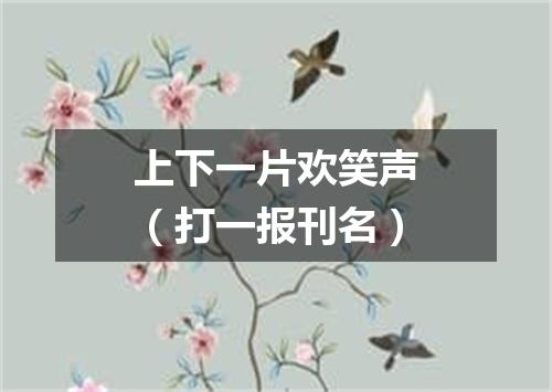 上下一片欢笑声（打一报刊名）