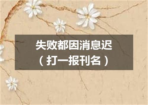 失败都因消息迟（打一报刊名）