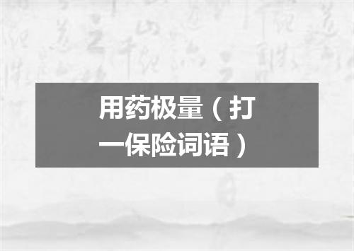 用药极量（打一保险词语）