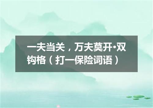 一夫当关，万夫莫开·双钩格（打一保险词语）