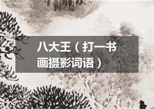 八大王（打一书画摄影词语）