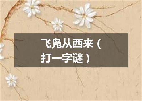 飞凫从西来（打一字谜）